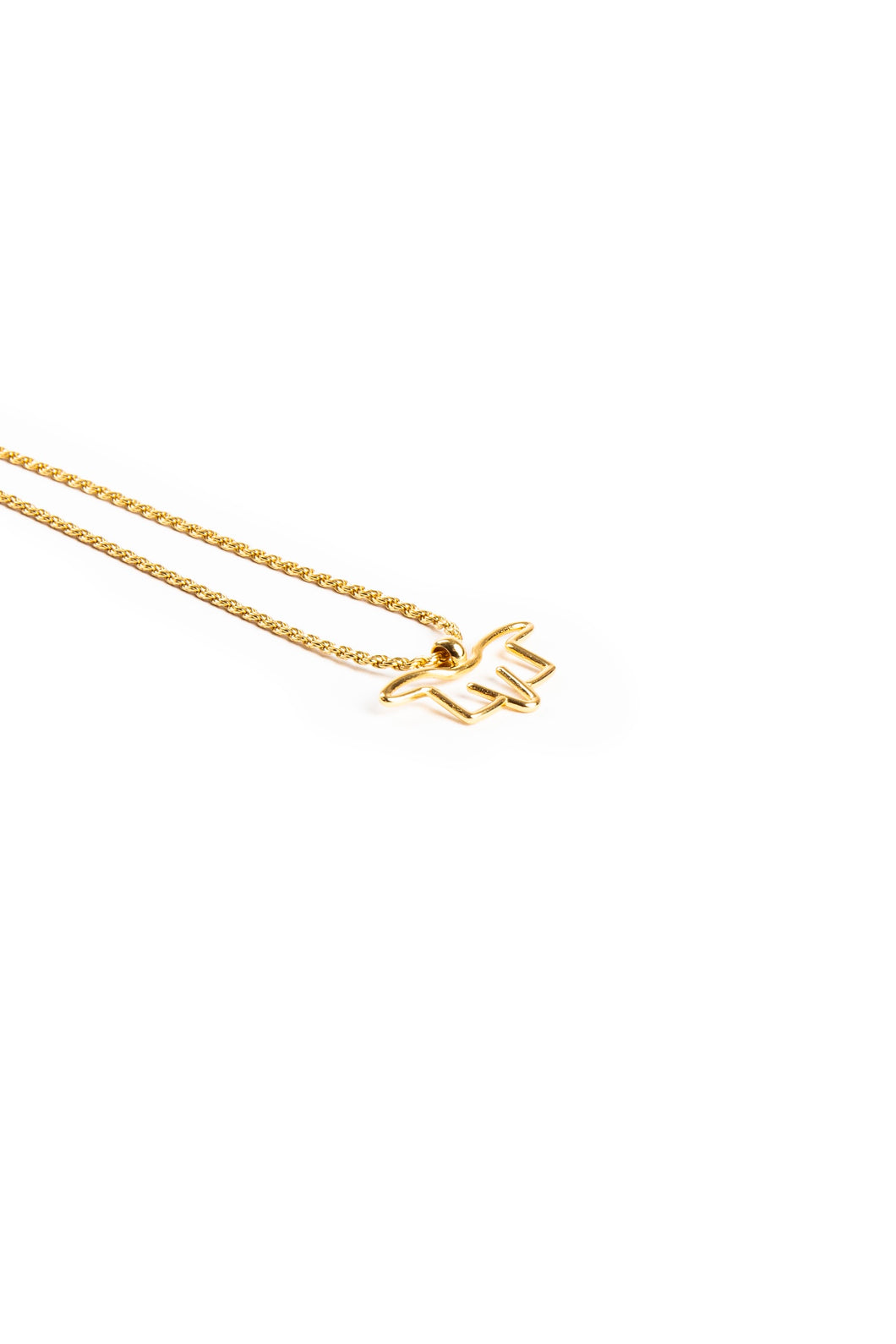 Collana vertebra I AM